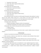 Lietuvos valstybės skolos samprata ir struktūra 2 puslapis