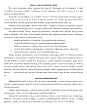 Lietuvos valstybės skolos samprata ir struktūra 3 puslapis