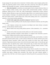 Lietuvos valstybės skolos samprata ir struktūra 6 puslapis