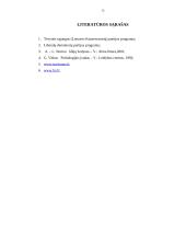 Lyginamoji konservatizmo ir liberalizmo analizė. Santykis tarp individo ir valstybės 12 puslapis