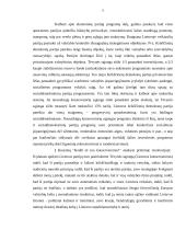 Lyginamoji konservatizmo ir liberalizmo analizė. Santykis tarp individo ir valstybės 9 puslapis