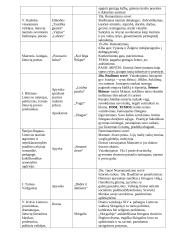 Išsamus lietuvių literatūros konspektas 2 puslapis