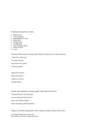 Išsamus lietuvių literatūros konspektas 16 puslapis