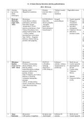 Išsamus lietuvių literatūros konspektas 3 puslapis