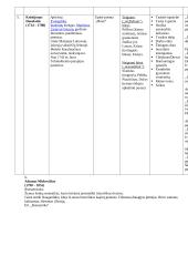 Išsamus lietuvių literatūros konspektas 5 puslapis