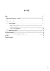 Lyginamoji Lietuvos ir Latvijos valstybių analizė 2 puslapis