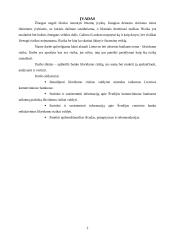 Likvidumo rizikos valdymas komerciniuose bankuose 2 puslapis