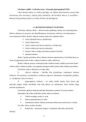 Likvidumo rizikos valdymas komerciniuose bankuose 4 puslapis