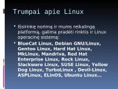 Linux operacinės sistemos (OS) pasikrovimo eiga 4 puslapis