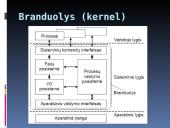Linux operacinės sistemos (OS) pasikrovimo eiga 10 puslapis
