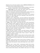 Lyrika, jos tipai bei žanrai 2 puslapis