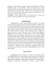 Lyrika, jos tipai bei žanrai 4 puslapis