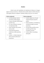 Lobizmas Lietuvoje 11 puslapis