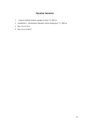 Lobizmas Lietuvoje 12 puslapis