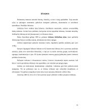 Lobizmo raiškų įvairovė 14 puslapis