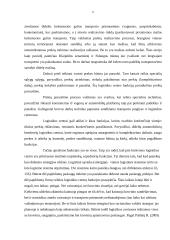 Logistikos centrų funkcijos 6 puslapis