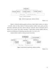 Logistikos organizacijos struktūra: vertinimo aspektai 12 puslapis