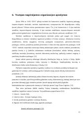 Logistikos organizacijos struktūra: vertinimo aspektai 13 puslapis