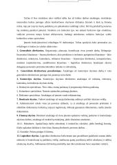 Logistikos organizacijos struktūra: vertinimo aspektai 16 puslapis