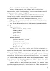 Logistikos organizacijos struktūra: vertinimo aspektai 6 puslapis