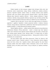 Logistikos paslaugos 2 puslapis