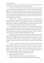 Logistikos paslaugos 11 puslapis