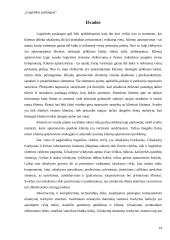 Logistikos paslaugos 13 puslapis