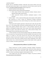 Logistikos paslaugos 8 puslapis