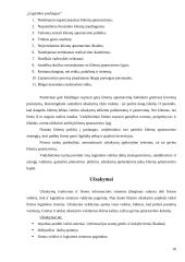 Logistikos paslaugos 9 puslapis