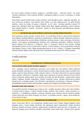 Abituriento konspektas 17 puslapis