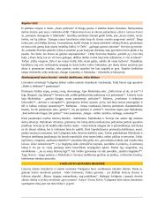Abituriento konspektas 20 puslapis