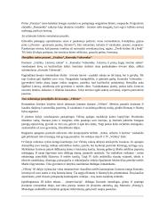 Abituriento konspektas 10 puslapis