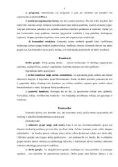 Logistikos tyrimai įmonėse 6 puslapis