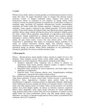 Lokomotyvų plienas 2 puslapis