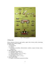 Lokomotyvų plienas 3 puslapis