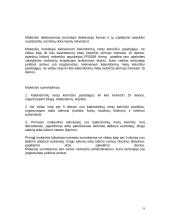 Loterijų ir azartinių lošimų mokestis 5 puslapis