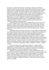 M.K. Čiurlionio tapybos muzikalumas 8 puslapis