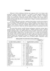 Maistas ir jo medžiagos 6 puslapis