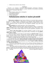Maistas ir jo medžiagos 10 puslapis