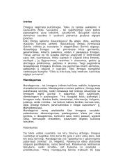 Mandagumas 3 puslapis