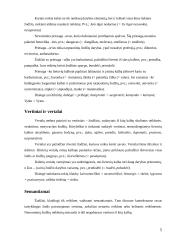 Mano draugų kalbos klaidos 5 puslapis