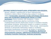 Skaidrės apie darbų saugą 19 puslapis