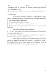 Market segmentation 13 puslapis