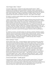 Vinco Kudirkos konspektas 2 puslapis