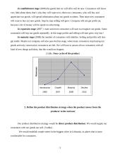 Marketing strategies 3 puslapis