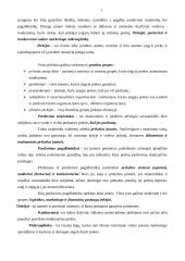 Marketingo terminas 7 puslapis