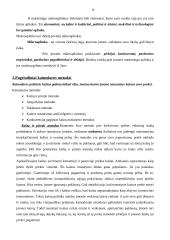 Marketingo terminas 8 puslapis