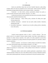 Marketingo aplinkos 14 puslapis