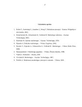 Marketingo aplinkos 17 puslapis