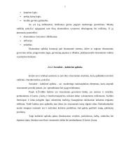 Marketingo aplinkos 7 puslapis